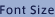 Font Size