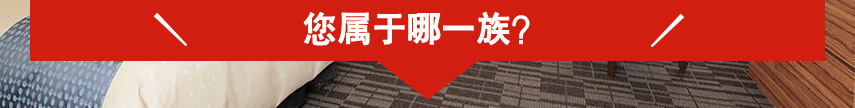 您属于哪一派？