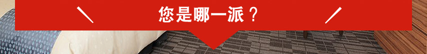 您是哪一派？