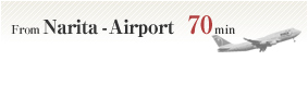 From Narita-Aiport 70min