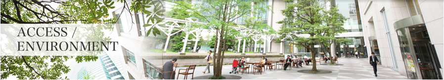 Access & Environment