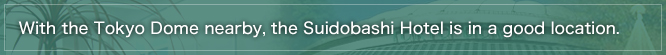 With the Tokyo Dome nearby, the Suidobashi Hotel is in a good location