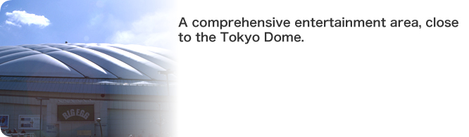 A comprehensive entertainment area, close to the Tokyo Dome.