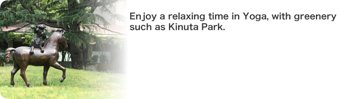 Enjoy a relaxing time in Yoga, with greenery such as Kinuta Park.