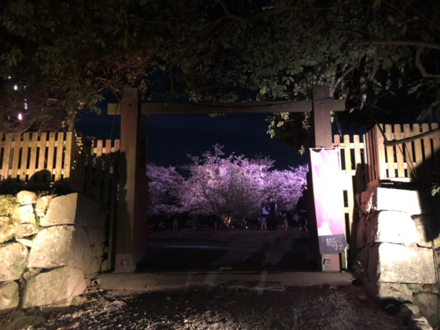 福岡城桜まつり　門.png
