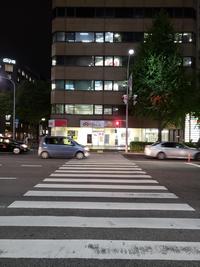 音羽公園前　横断歩道夜.jpg