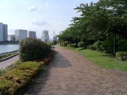 越中島公園2.jpg