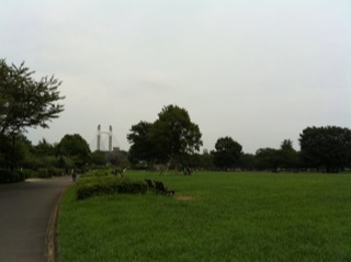 ザよさこい大江戸ソーラン祭り木場公園3.jpg