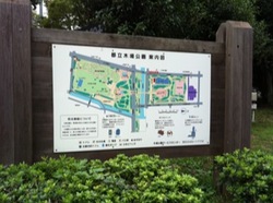 ザよさこい大江戸ソーラン祭り木場公園２.jpg