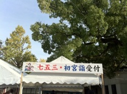 酉の市2015七五三詣.jpg