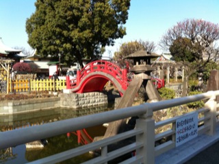 亀戸天神社散策5.jpg