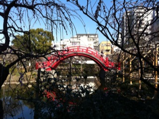 亀戸天神社散策6.jpg