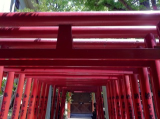 永昌五社稲荷神社1.jpg