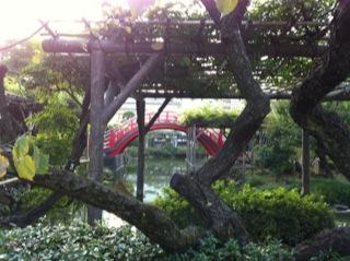 亀戸天神社菊まつり太鼓橋.jpg