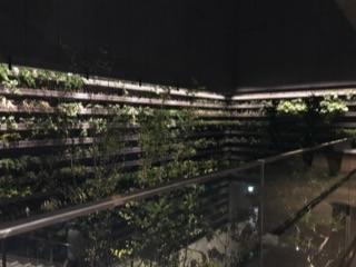GINZASIX2017屋上ガーデン14.jpg