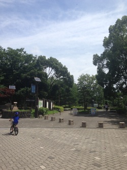 木場公園入口.jpg