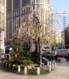 nihonbashi mothyouhirobanew150412.jpg