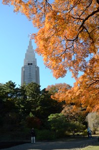 新宿御苑3 050.jpg