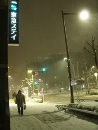 東京　大雪 033.jpg