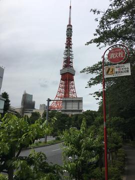 東京タワー５.jpg