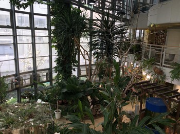 植物センター2階より1階の風景.jpg