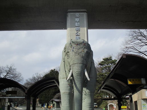 多摩動物公園　象　正門.jpg