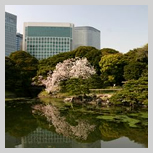 Hama-rikyu Gardens