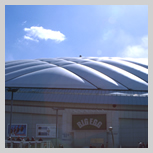 Tokyo Dome