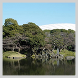 Koishikawa Korakuen Gardens