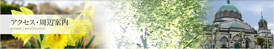 アクセス・周辺案内