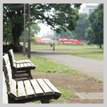 Kinuta Park