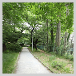 Sotobori Park