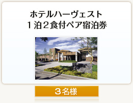 ホテルハーヴェスト1泊2食付ペア宿泊券