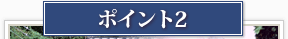 ポイント2