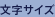 文字サイズ