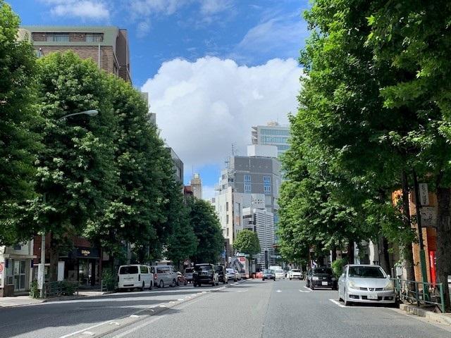 外苑西通り 青山キラー通り 散策 青山のホテル予約は東急ステイ青山プレミア 公式 外苑西通り 青山キラー通り 散策 青山のホテル予約は東急ステイ青山プレミア 公式