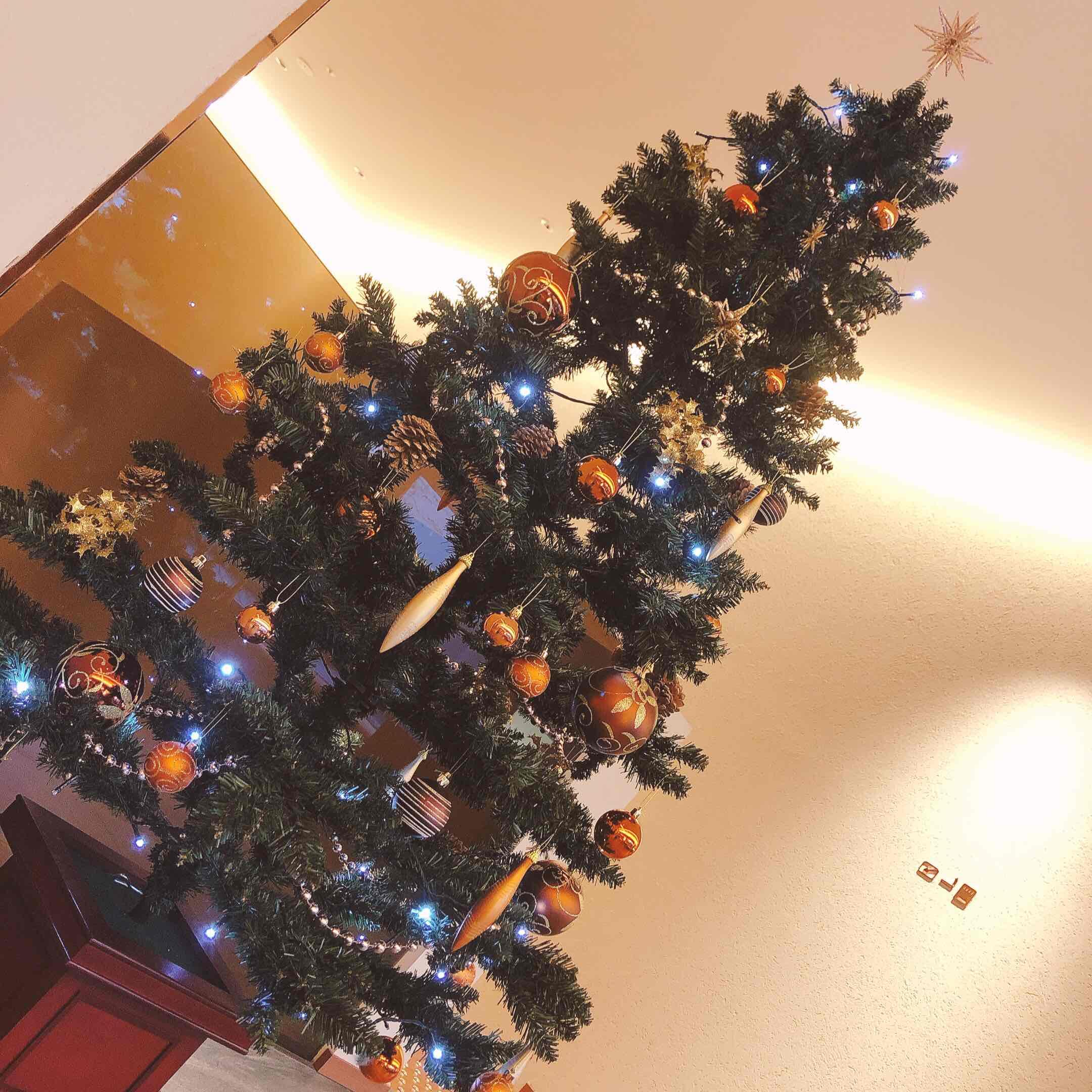 クリスマス 福岡でのホテル予約は東急ステイ福岡天神 公式