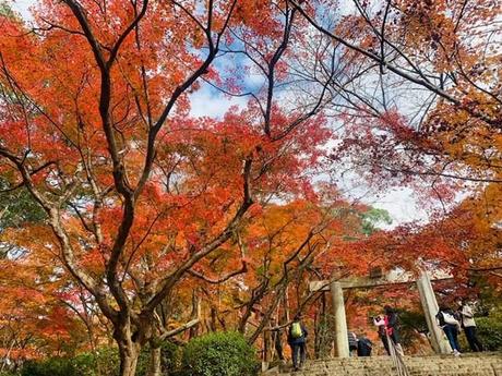 竈門神社④.jpg