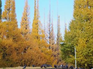 IMG_2933.jpg