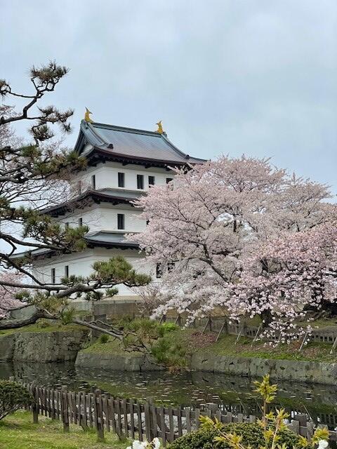 松前城.jpg
