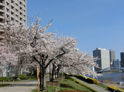 CIMG2356.JPGのサムネール画像