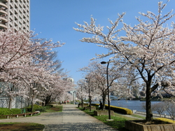 CIMG2357.JPGのサムネール画像