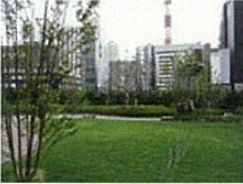 20130714(sinn)kabukiza1.JPG