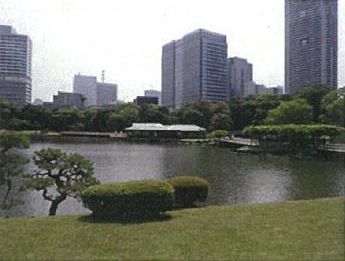 hama2.JPG