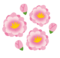 桃の花.png