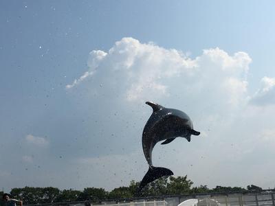 京都水族館１.jpg