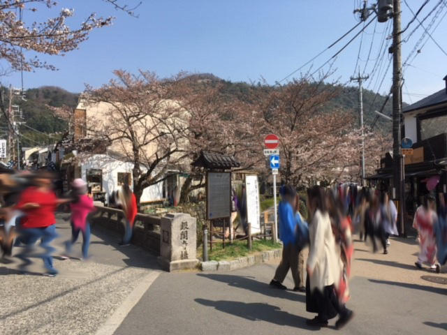 銀閣寺.jpg