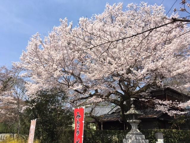 大豊寺.jpg