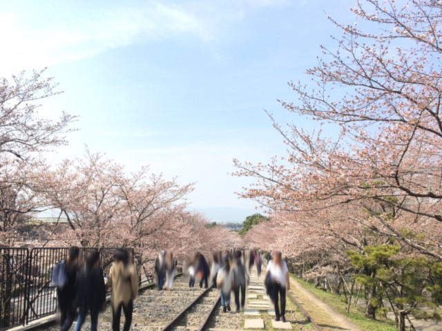 蹴上インクライン.jpg