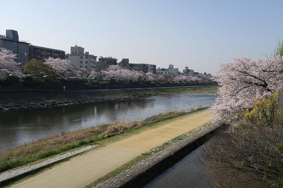 鴨川.jpg